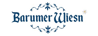 Wiesn_Logo 400-150_Zeichenfläche 1